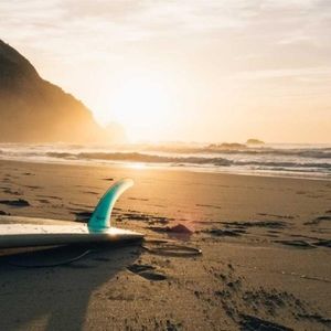 Meet your Posher, Leon